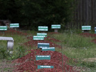 Some of the graves at the Al-Barzakh Islamic Cemetery in Doswell, Va., where the body of Boston Marathon bombings suspect Tamerlan Tsarnaev has been buried. His grave was not identified to journalists. Some of the graves at the Al-Barzakh Islamic Cemetery in Doswell, Va., where the body of Boston Marathon bombings suspect Tamerlan Tsarnaev has been buried. His grave was not identified to journalists.