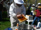 Members of the Plymouth County Beekeepers Association in Plympton, Mass., watch an instructor demonstrate how to "install" their new bees once they get them home. Members of the Plymouth County Beekeepers Association in Plympton, Mass., watch an instructor demonstrate how to "install" their new bees once they get them home.