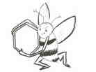 Bee with hexagon