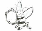 Bee with hexagon Bee with hexagon
