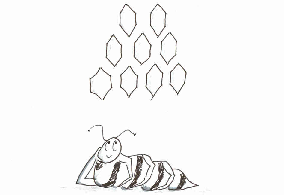 Bee dreaming Bee dreaming