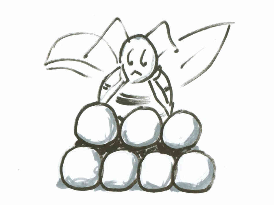Bee on spheres Bee on spheres