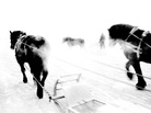 Hajime Kimura documents Japan's racehorse industry. Hajime Kimura documents Japan's racehorse industry.