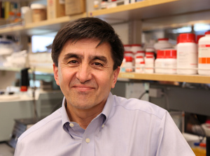 Shoukhrat Mitalipov, of Oregon Health & Science University, first cloned monkey embryos before trying his method on human eggs. Shoukhrat Mitalipov, of Oregon Health & Science University, first cloned monkey embryos before trying his method on human eggs.