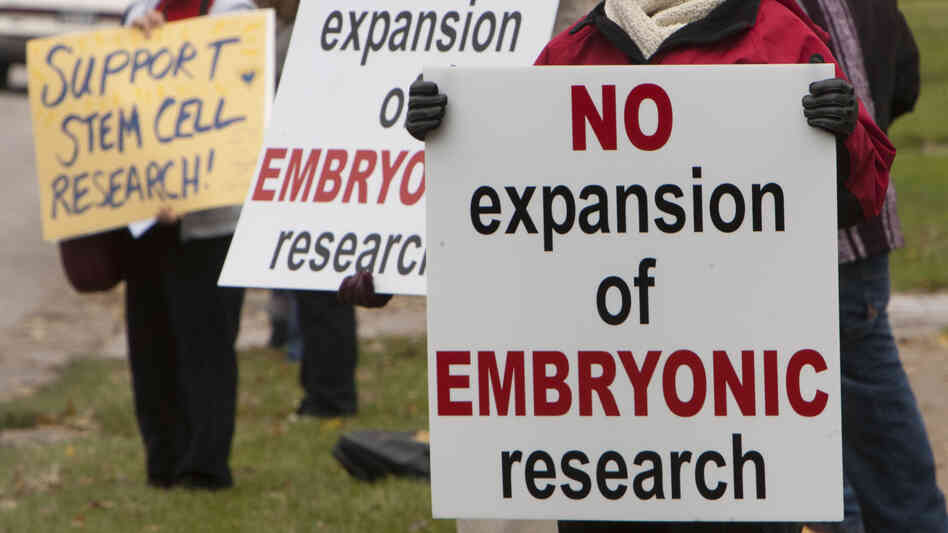 The Embryonic Stem Cell Research Controversy 0933