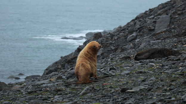Orkney Islands