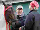 Kentucky Derby winner Orb gets a blanket put on him by exercise rider Jennifer Patterson and trainer Shug McGaughey after a workout earlier this week at Pimlico Race Course in Baltimore. Orb contends Saturday for the Preakness Stakes, the second leg of thoroughbred racing's Triple Crown.