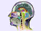 Despite significant advances in neurology and imaging, researchers still don't have simple lab tests for diagnosing patients with mental disorders. Diagnoses are still mostly based on a patient's signs and symptoms.