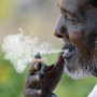 An man smokes a cigarette as he takes a break at a fruit market in Hyderabad, India. Smoking tobacco is eight times more prevalent among Indian men than women. An man smokes a cigarette as he takes a break at a fruit market in Hyderabad, India. Smoking tobacco is eight times more prevalent among Indian men than women.