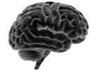 The new version of the psychiatric "bible" is more of a dictionary, psychiatrists say.