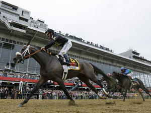 Oxbow, ridden by jockey Gary Stevens, wins the 138th Preakness Stakes horse race at Pimlico Race Course on Saturday in Baltimore. Oxbow, ridden by jockey Gary Stevens, wins the 138th Preakness Stakes horse race at Pimlico Race Course on Saturday in Baltimore.