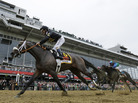 Oxbow, ridden by jockey Gary Stevens, wins the 138th Preakness Stakes horse race at Pimlico Race Course on Saturday in Baltimore. Oxbow, ridden by jockey Gary Stevens, wins the 138th Preakness Stakes horse race at Pimlico Race Course on Saturday in Baltimore.