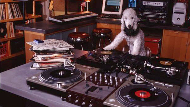 Check it out. It's a dog DJ!