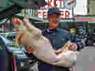 William von Schneidau, who owns the BB Ranch butcher shop at Pike Place Market in Seattle, has made prosciutto from pigs fed marijuana.