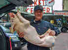 William von Schneidau, who owns the BB Ranch butcher shop at Pike Place Market in Seattle, has made prosciutto from pigs fed marijuana.