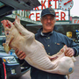 William von Schneidau, who owns the BB Ranch butcher shop at Pike Place Market in Seattle, has made prosciutto from pigs fed marijuana.