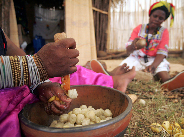 Marula is one of the crops whose genome will be sequenced through the African Orphan Crops Consortium.