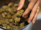 An employee handles marijuana at Perennial Holistic Wellness Center, a medical marijuana dispensary, in September 2012 in Los Angeles. An employee handles marijuana at Perennial Holistic Wellness Center, a medical marijuana dispensary, in September 2012 in Los Angeles.