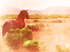 Cover of The Son Cover of The Son