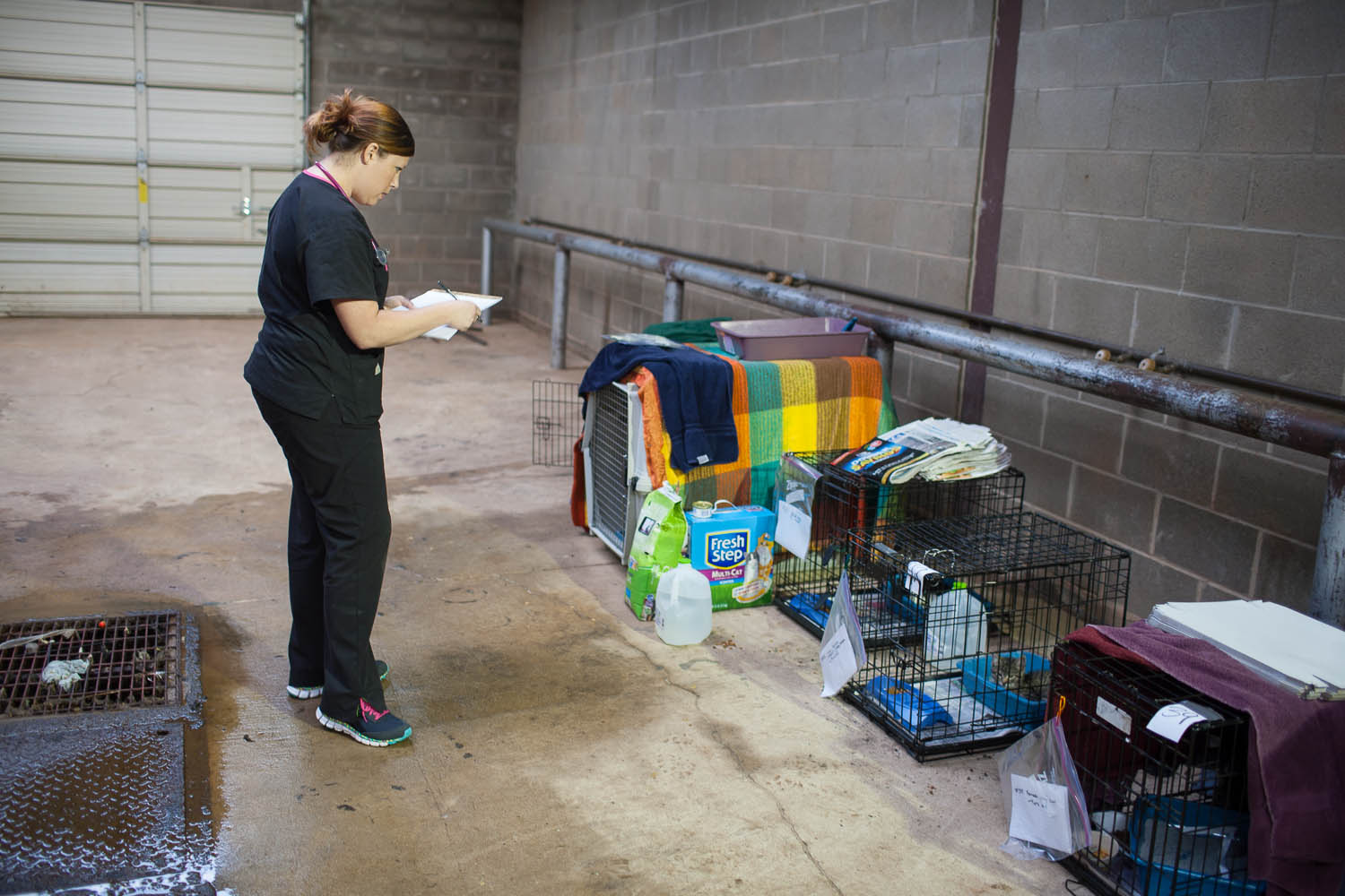 Jessica Manzer, a veterinary technician, checks on the cats at a temporary animal shelter set up at the Cleveland County Fairgrounds in Norman, Okla.