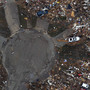 An aerial photo shows destroyed houses in Moore, Okla., after Monday's tornado. Rena and Paul Phillips, who lost their home in the storm, also lost a house to a tornado in 1999.