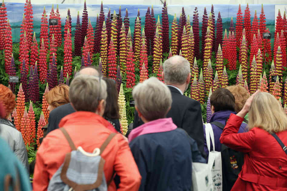 Less famous visitors take in a display in the Great Pavilion on Tuesday, the event's opening day.