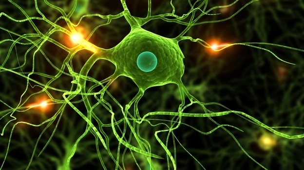 Genetic changes in signaling pathways in the brain may cause schizophrenia. (iStockphoto.com)
