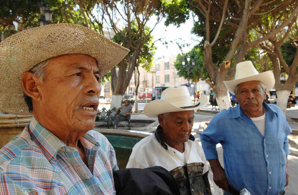 Los Cardencheros De Sapioriz, a group that keeps the canto cardenche tradition alive. Los Cardencheros De Sapioriz, a group that keeps the canto cardenche tradition alive.