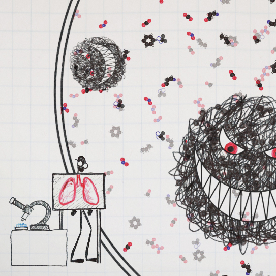 A screen grab from an animation explaining the lung gizmo.