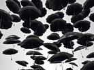 iStockphoto.com iStockphoto.com