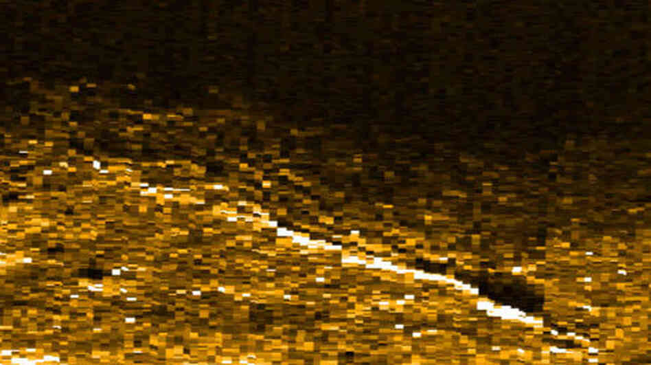 That line below the surface might be pieces of Amelia Earhart's plane, researchers say. That line below the surface might be pieces of Amelia Earhart's plane, researchers say.