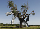 After the storm: Sheet metal that was torn off a building during Friday's tornado in El Reno, Okla., ended up caught in a tree. After the storm: Sheet metal that was torn off a building during Friday's tornado in El Reno, Okla., ended up caught in a tree.