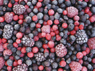 Frozen berries have been implicated in a hepatitis A outbreak. Frozen berries have been implicated in a hepatitis A outbreak.