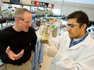Jay Keasling (left), speaking with Rajit Sapar at the Joint BioEnergy Institute, is pioneering a technique to develop diesel fuel from yeast. Jay Keasling (left), speaking with Rajit Sapar at the Joint BioEnergy Institute, is pioneering a technique to develop diesel fuel from yeast.