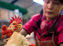 A vendor weighs a live chicken at the Kowloon City Market in Hong Kong last April. After closing live poultry shops in many cities around China, the rate of new H7N9 infections sharply declined.
