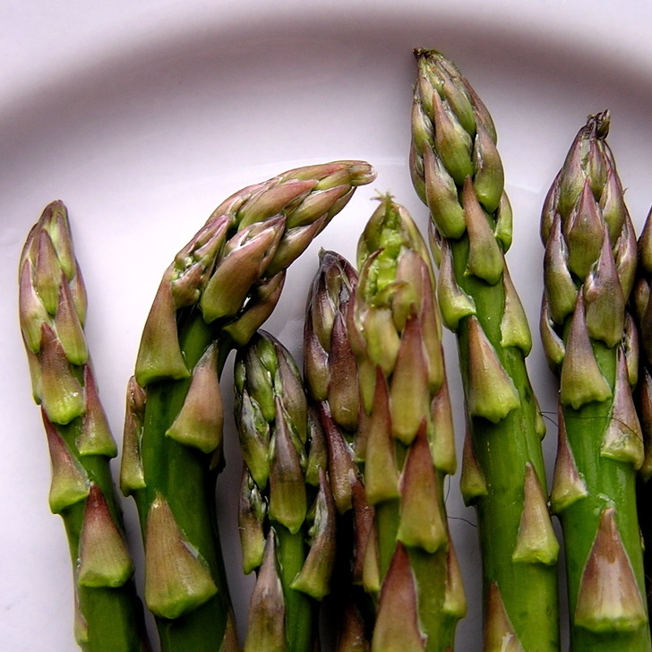In a recent study, rats that munched on asparagus saw their blood pressure drop.