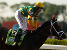 Jockey Mike Smith celebrates after guiding Palace Malice to victory during the 145th running of the Belmont Stakes at Belmont Park on Saturday in Elmont, New York. Jockey Mike Smith celebrates after guiding Palace Malice to victory during the 145th running of the Belmont Stakes at Belmont Park on Saturday in Elmont, New York.