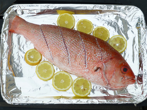 Whole Grilled Red Snapper