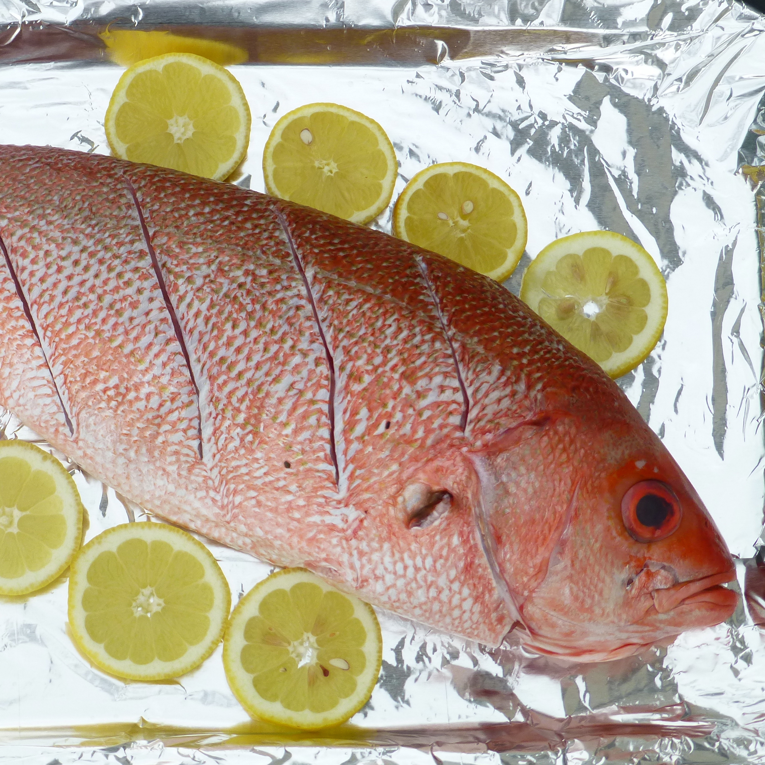 Whole Grilled Red Snapper