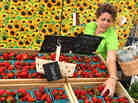 Lisa Steketee restocks strawberries during the Laramie Farmers Market in Wyoming, in 2009.