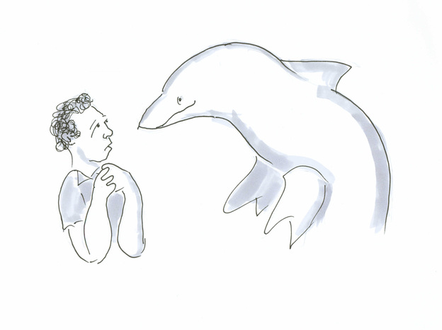 Man staring at Dolphin drawing.