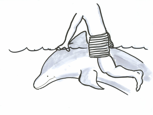 person riding dolphin drawing