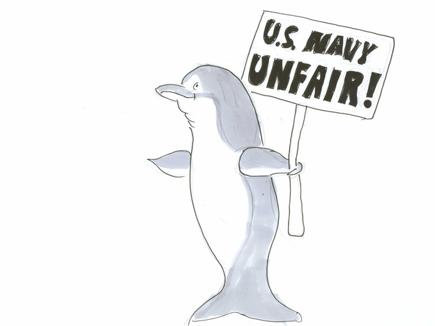 Dolphin protesting