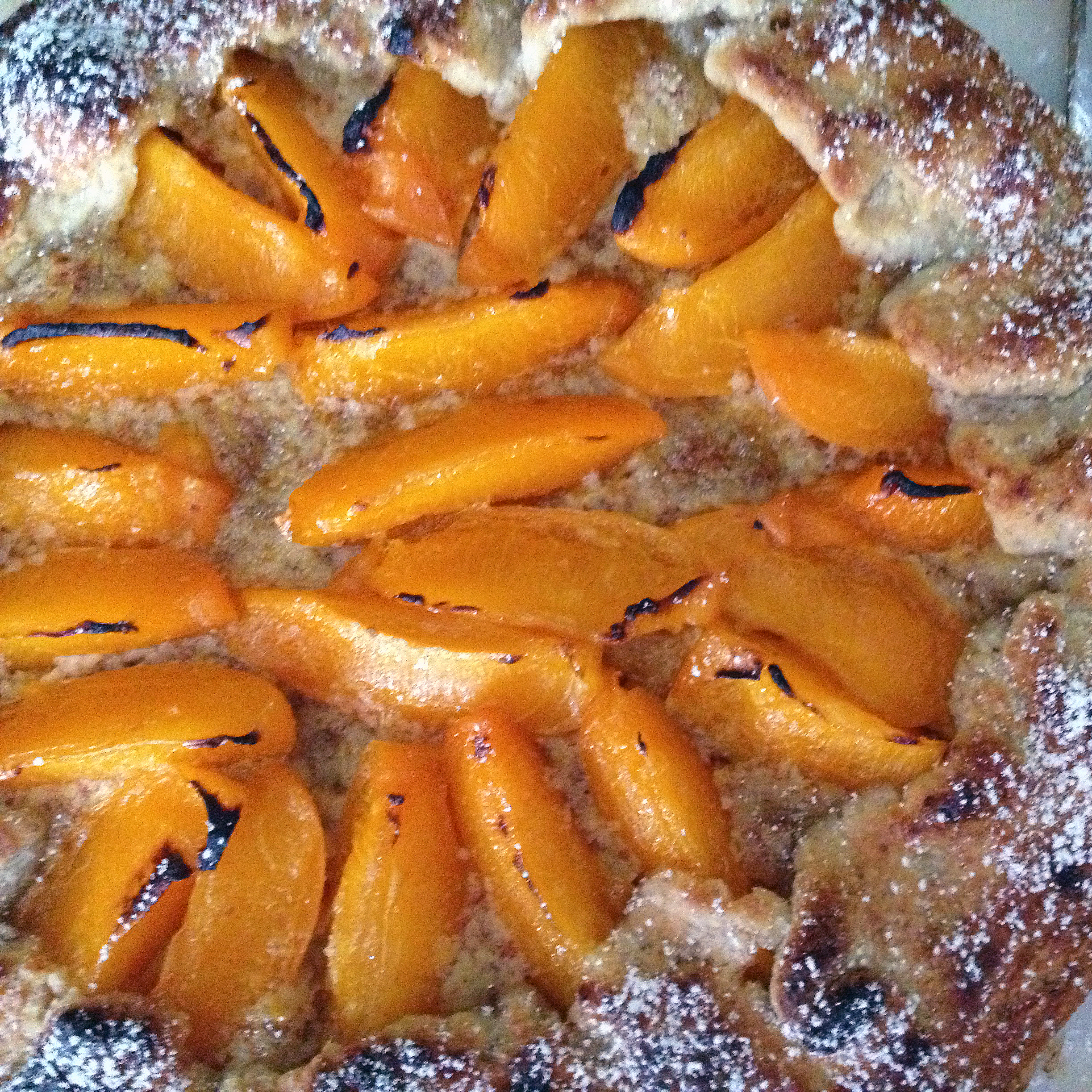 Apricot Frangipane Galette