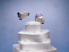 Cakes To Dream On Cakes To Dream On