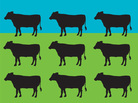 Journalist Judith D. Schwartz calls her book Cows Save The Planet "a call to action on behalf of soil." Journalist Judith D. Schwartz calls her book Cows Save The Planet "a call to action on behalf of soil."