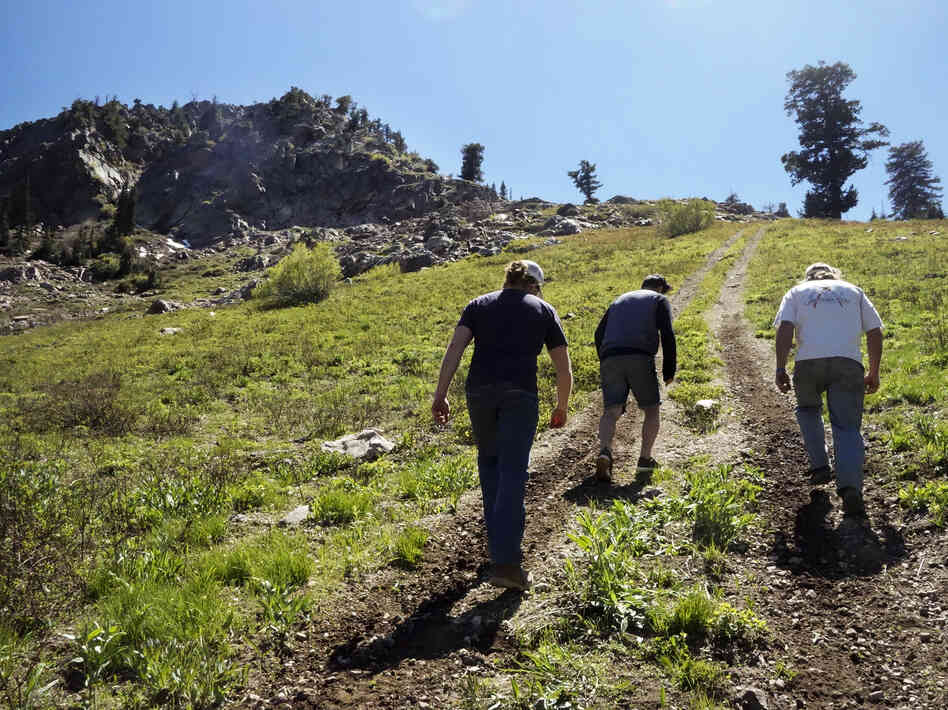 A walk up near the peak of Powder Mountain, which is about 9,000 feet elevation. A walk up near the peak of Powder Mountain, which is about 9,000 feet elevation.