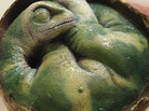 Kind of cute. But pretty stupid. A scale model of a baby sauropod in its egg. Kind of cute. But pretty stupid. A scale model of a baby sauropod in its egg.