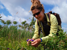 Heather Liljengren, a field taxonomist with the New York City Department of Parks and Recreation, examines the seed pods of the Virginia spiderwort at Oakwood Beach, Staten Island. Liljengren collects seeds from across the region for a seed bank of native plants. Heather Liljengren, a field taxonomist with the New York City Department of Parks and Recreation, examines the seed pods of the Virginia spiderwort at Oakwood Beach, Staten Island. Liljengren collects seeds from across the region for a seed bank of native plants.