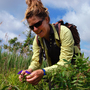 Heather Liljengren, a field taxonomist with the New York City Department of Parks and Recreation, examines the seed pods of the Virginia spiderwort at Oakwood Beach, Staten Island. Liljengren collects seeds from across the region for a seed bank of native plants. Heather Liljengren, a field taxonomist with the New York City Department of Parks and Recreation, examines the seed pods of the Virginia spiderwort at Oakwood Beach, Staten Island. Liljengren collects seeds from across the region for a seed bank of native plants.